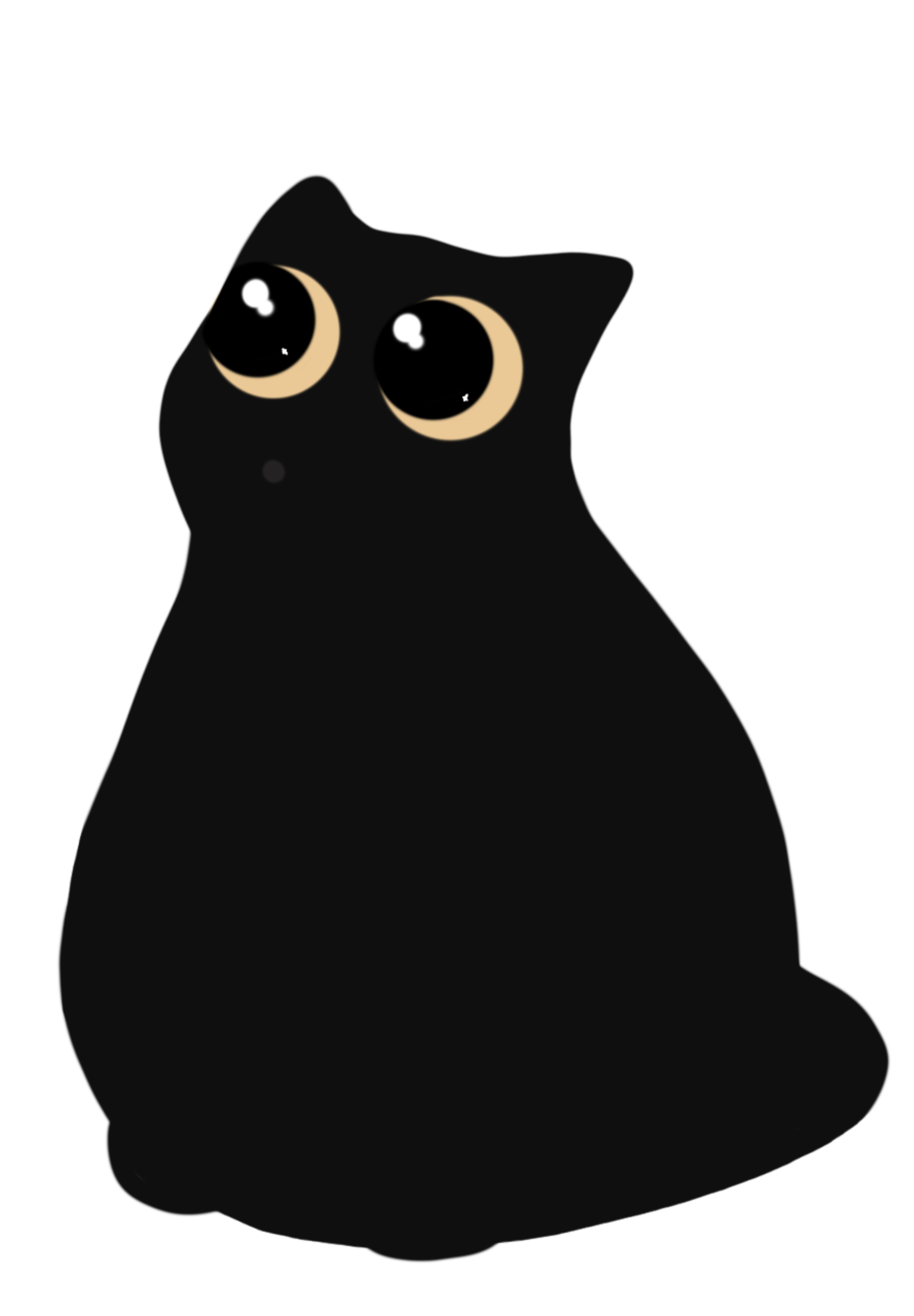Nooky